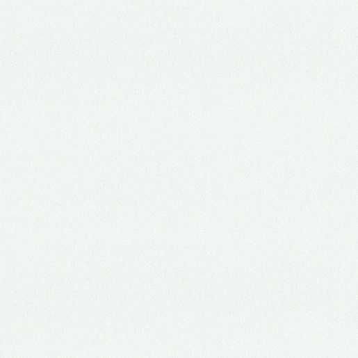 W100 (White)