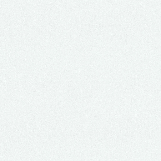 W300 (White)