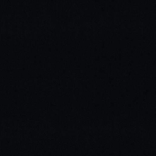 BLK 100 (Black)