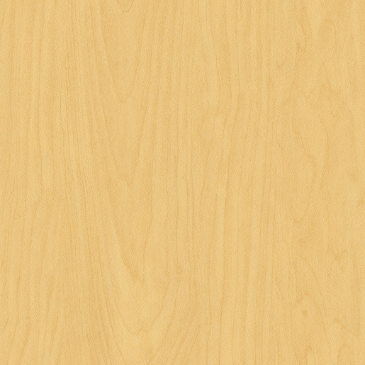 W100 (White)